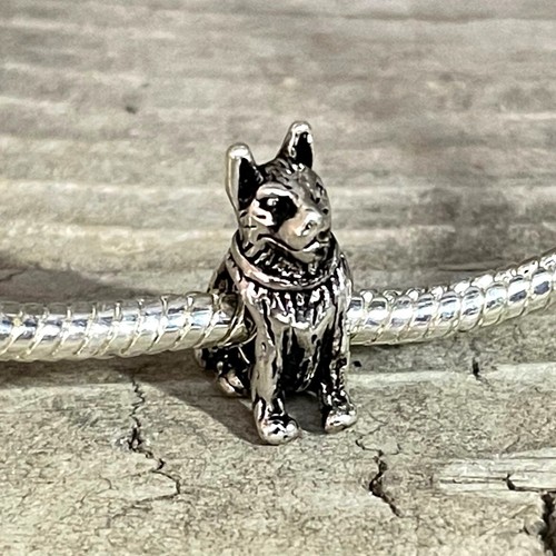 German shepherd dog - shepherd,