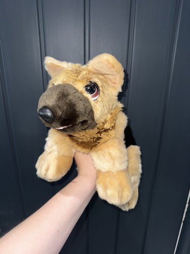 Keel cuddle puppies - cuddle, alsatian