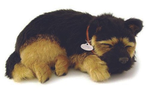 Precious petzzz breathing - precious,