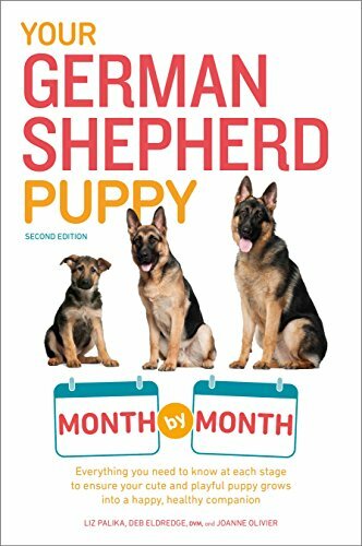 Your german shepherd - german,