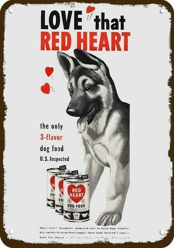 1950 german shepherd puppy - shepherd,
