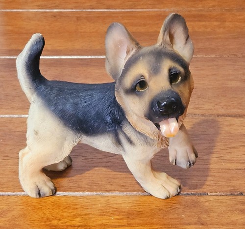 German shepherd alsatian - german, puppy