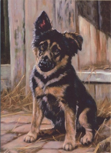 German shepherd dog puppy - german,