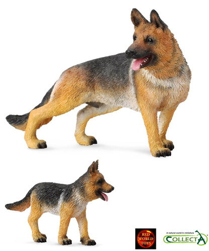 German shepherd dog and - dog, puppy
