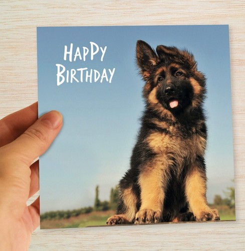 German shepherd birthday card - shepherd,
