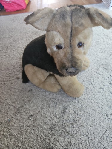 Avanti german shepherd puppy - shepherd,
