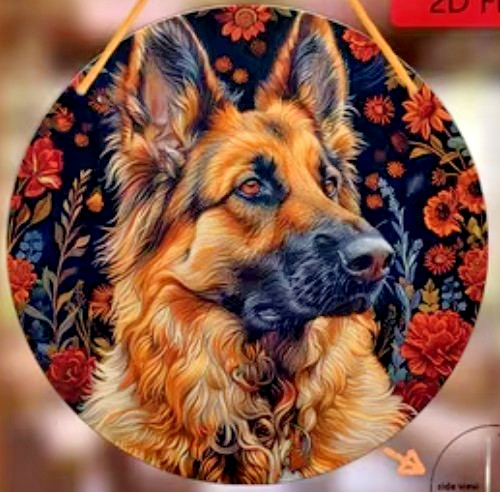 Alsatian large german - alsatian, shepherd