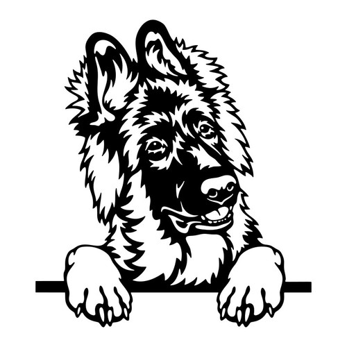 German shepherd puppy dog face - dog,