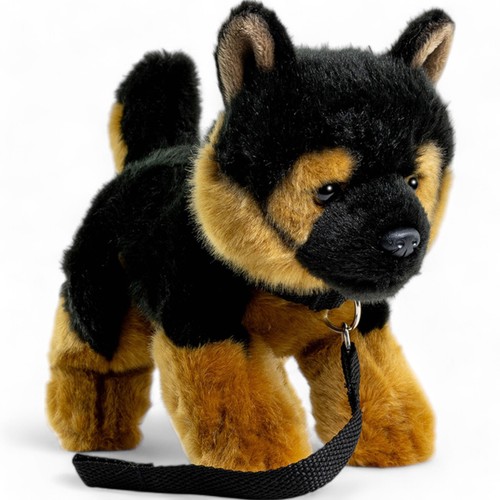 German shepherd dog - puppy, with