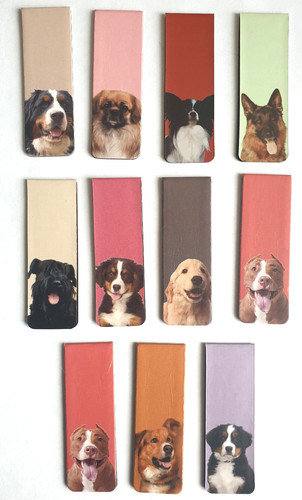 Dog puppy magnetic - 3x,