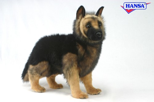 Hansa 4397 german - german, pup