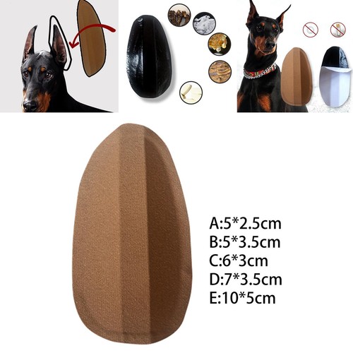 Dog ear stand - ear, german
