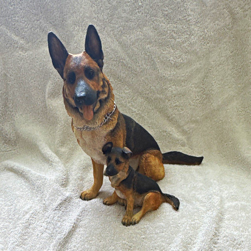 Alsatian german shepherd - shepherd, dog