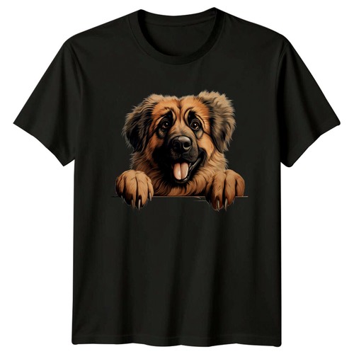 Cute dog peekaboo - dog, german